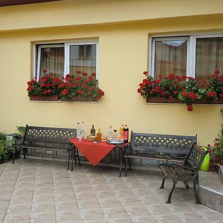 ゲストハウス ペンション カーサ ティマル ブラショフ