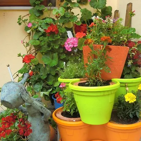 بيت ضيافة Casa Timar