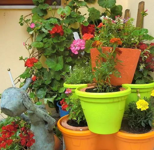 ゲストハウス ペンション カーサ ティマル