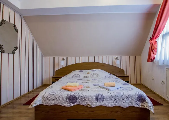 ペンション カーサ ティマル ゲストハウス ブラショフ