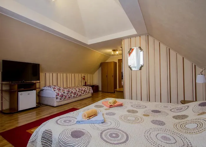 Casa Timar Pensiune 3*